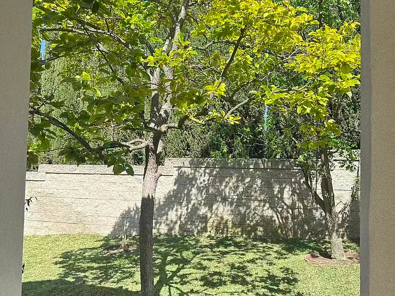1997 Birch Bend Ct #A — Photo 10
