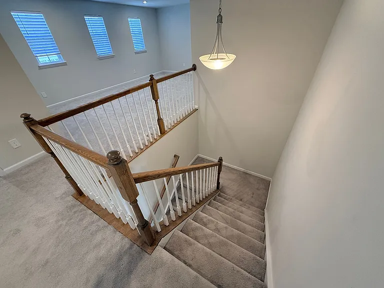1209 Hinson Forest Rd — Photo 22