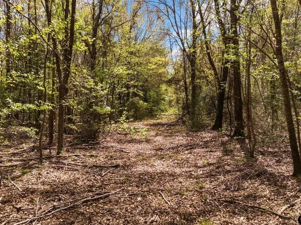 192 County Road 238, Tyler, TX 75705