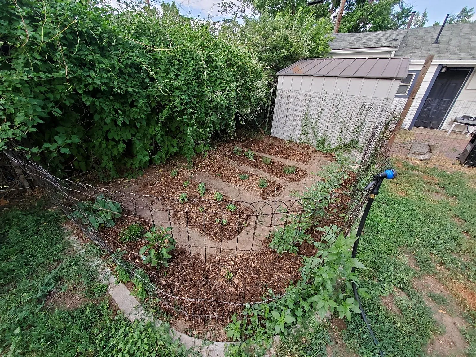 2 bed, 1480 sqft, $2,400 — Photo 4