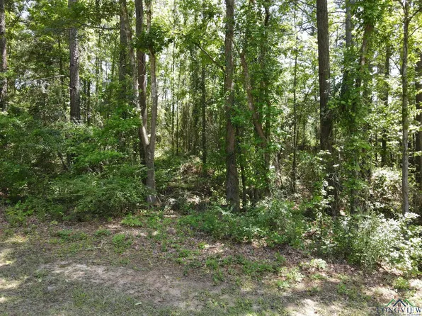 Hillshore Cir, Longview, TX 75605