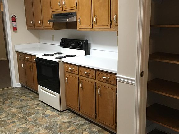 Kitchen right side, electric range and vent hood, wood cabinets, pantry shelves.