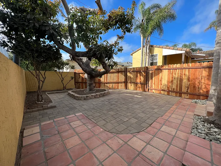 Backyard view from house