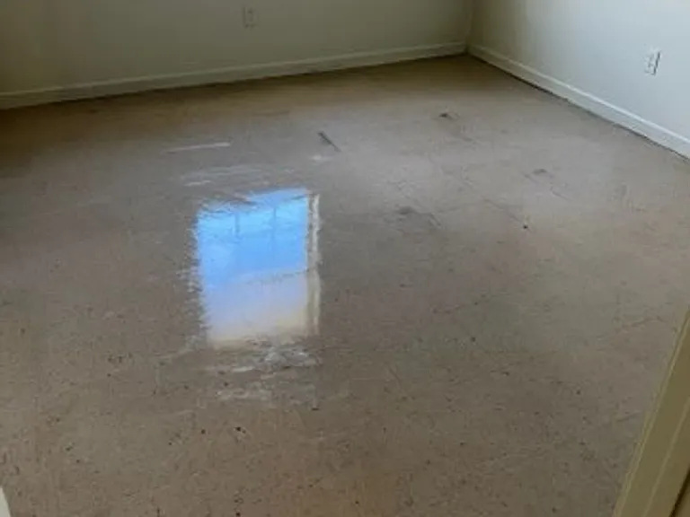 1020 South St #7 — Photo 17