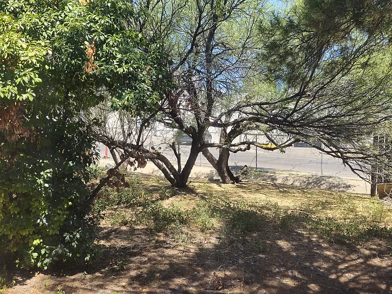 715 S Skyline Way #B — Photo 10