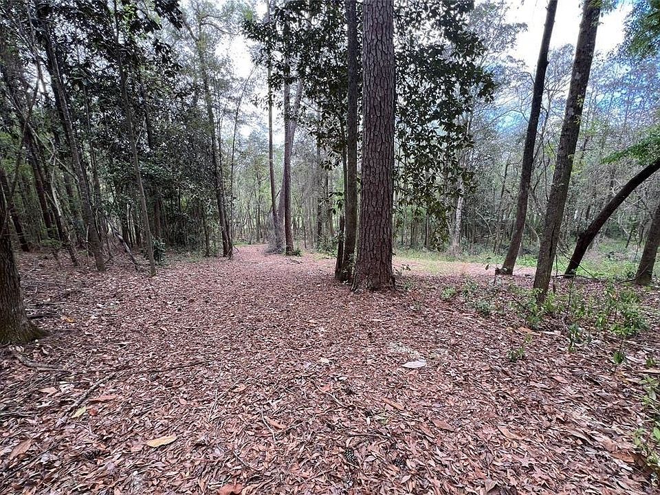 2nd image of 0 Driftwood Ln