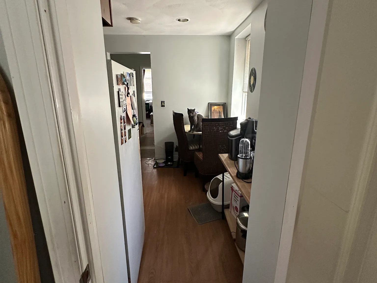 2 bed, 9999 sqft, $2,800 — Photo 4