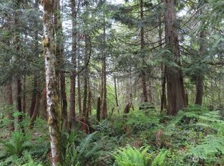 0 Pilgrim Rd E, Eatonville, WA 98328