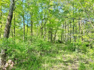 0 Hoyt Ridge Rd, Wharncliffe, WV 25651