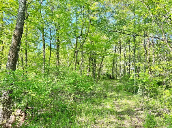 0 Hoyt Ridge Rd, Wharncliffe, WV 25651