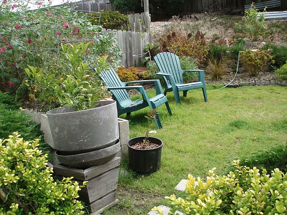 large backyard