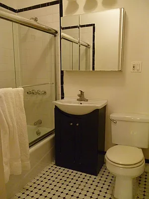 Rented by GPS Realty NYC | media 42