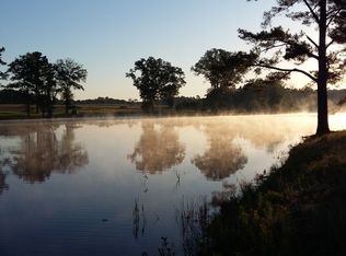 125 Copper Head Rd, Collins, GA 30421