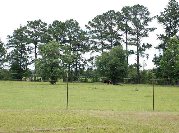 2nd image of 6374 N State Highway 167