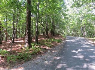 L10 Spanish Oak Dr #10, Cedar Mountain, NC 28718
