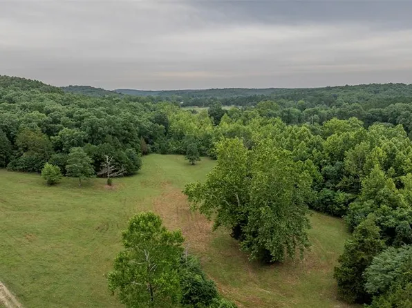 11717 Harmon Rd, Potosi, MO 63664