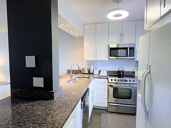 Chef's Kitchen Remodel