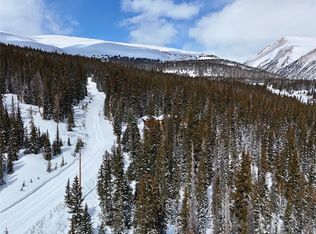 72 Sunshine Loop, Fairplay, CO 80440