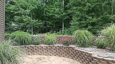 Backyard landscaping