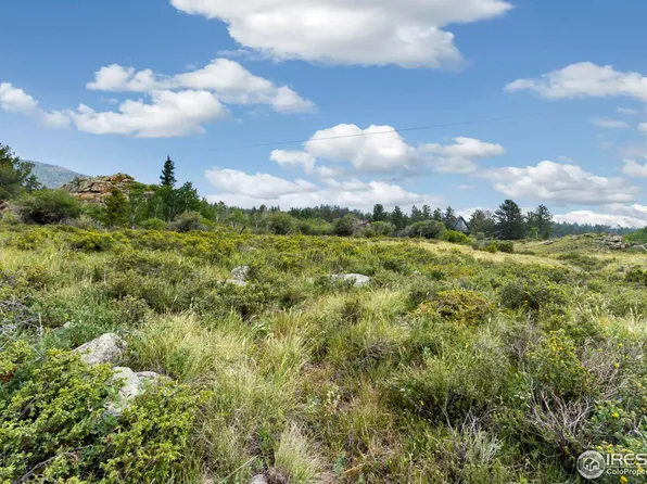 342 Navajo Rd, Red Feather Lakes, CO 80545