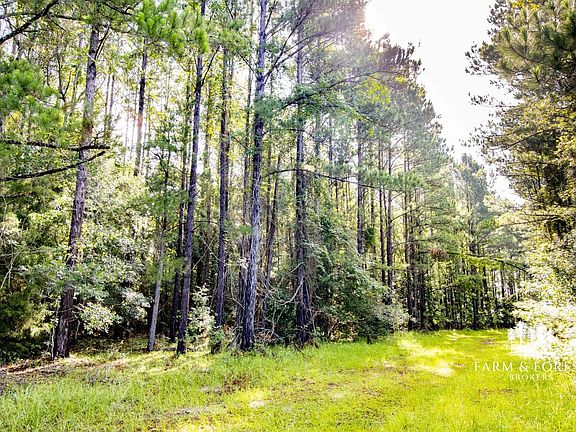 5th image of Xx1 Cothran Rd