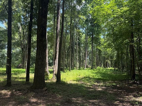 4th image of The Retreat At Riverside Rnch Lot 52