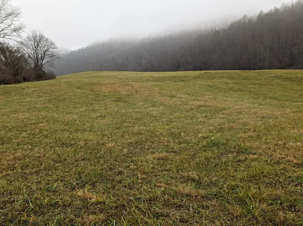 Redwine Hollow Ln, Duffield, VA 24244