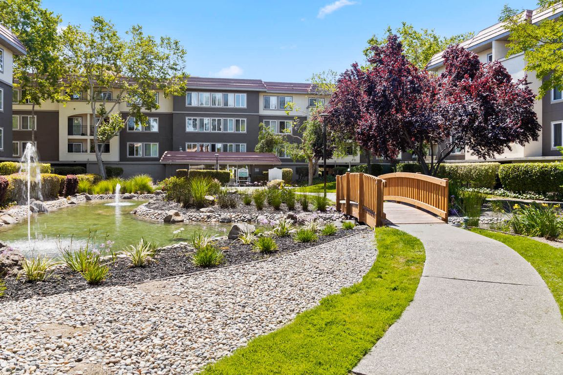 Courtyard with Pond