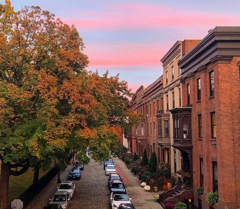 Incredible Neighbourhood