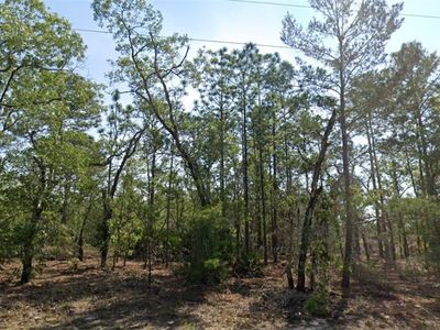 9539 N Applebud Way, Citrus Springs, FL, 34434