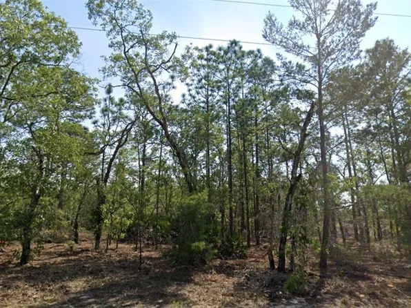 9539 N Applebud Way, Citrus Springs, FL 34434