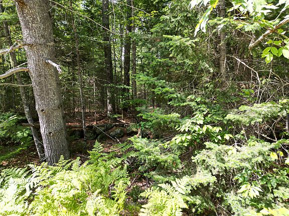5th image of Lot 5 River Road