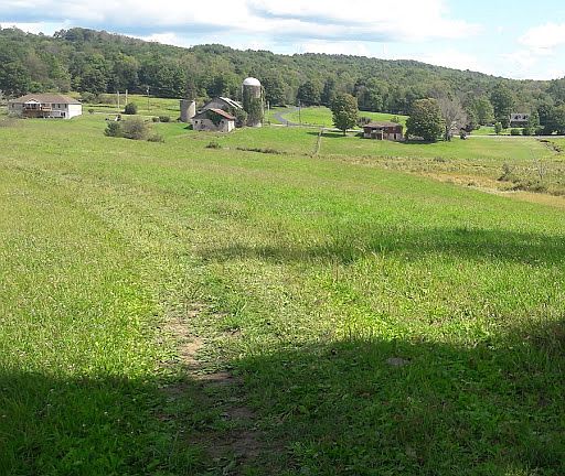 one view from your land