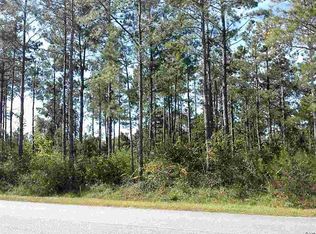 Tbd Apple Valley Rd, Loris, SC 29569