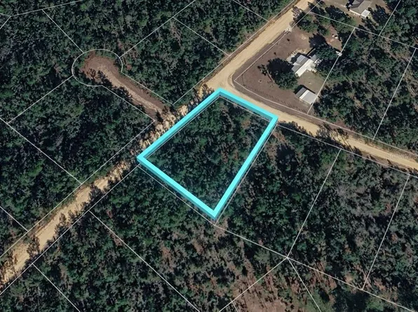 Deshutes Dr Lot 1, Alford, FL 32420
