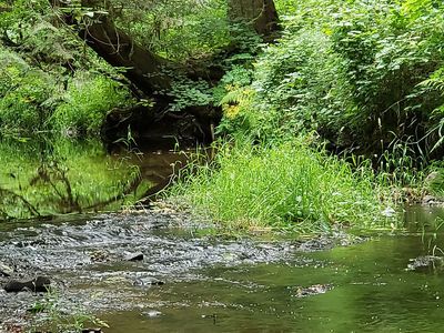 0 NW Timber Rd, Gales Creek, OR, 97117