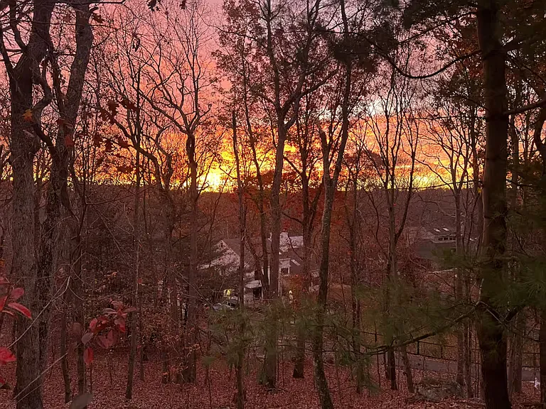 Walker Ln — Photo 28