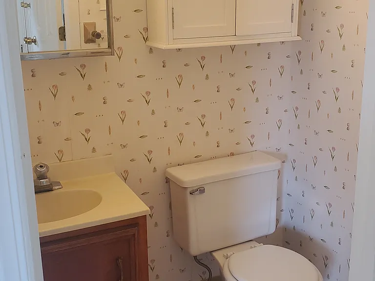 241 Mary Waters Ford Rd — Photo 8