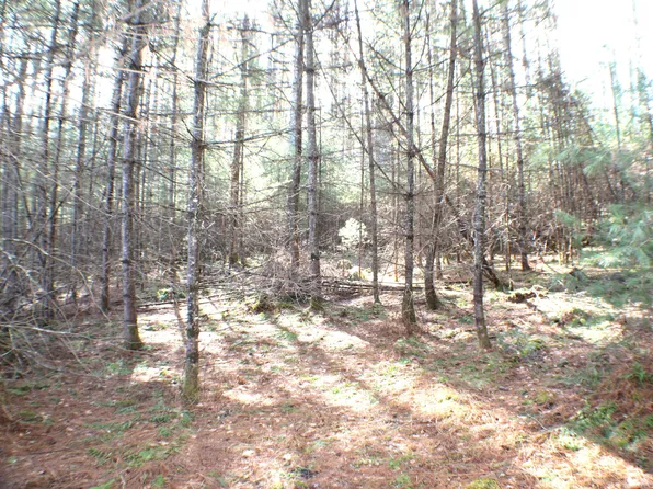 10 Beaver Lick Rd, Marlinton, WV 24954