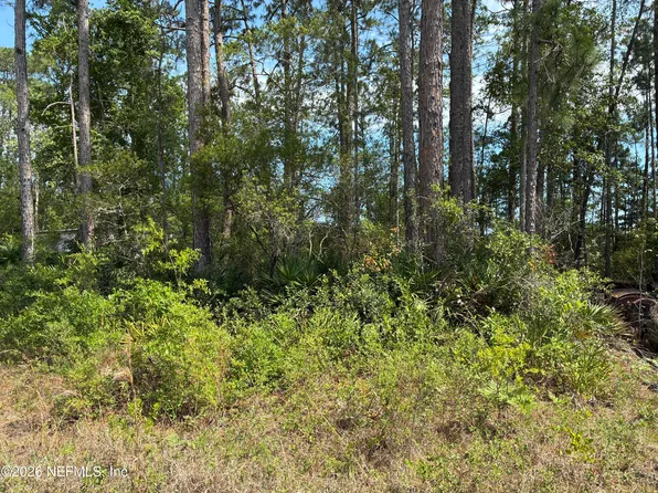 000 SUSAN Street, Interlachen, FL 32148