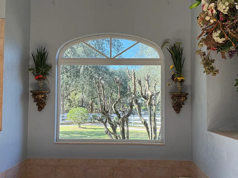 Master bath window with tub in front