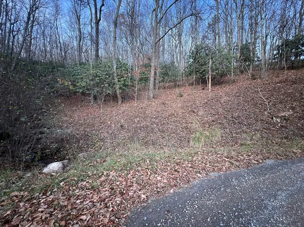 LOT 65 Cove Creek Rd, Tazewell, VA 24651
