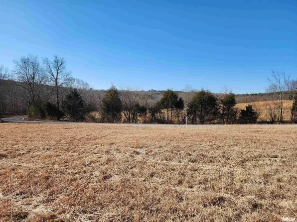 0 New Home Rd, Stonefort, IL 62987