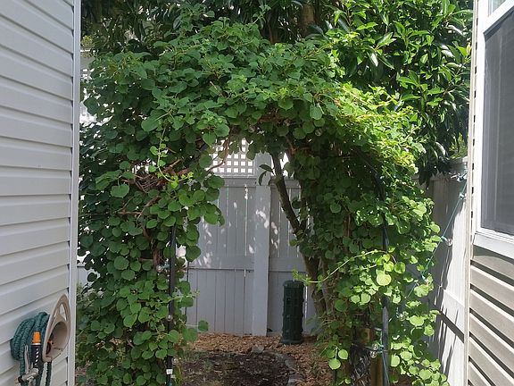 2nd image of 2213 Lateener Ct