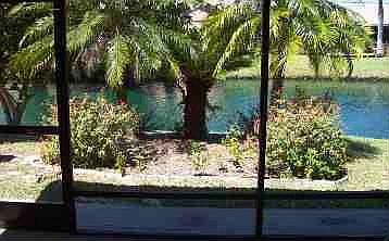 Pond view from porch