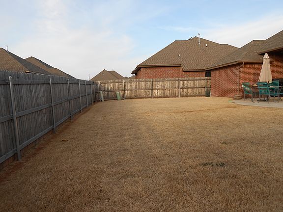 back yard
