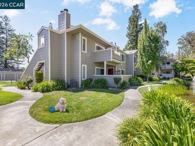 204 Norris Canyon Pl APT D, San Ramon, CA, 94583