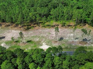0 Wilbur Pridgen Rd Lot 1, Harrells, NC 28444