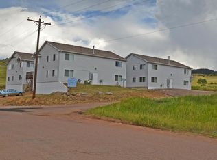 111 Hettig Ave #D, Cripple Creek, CO 80813