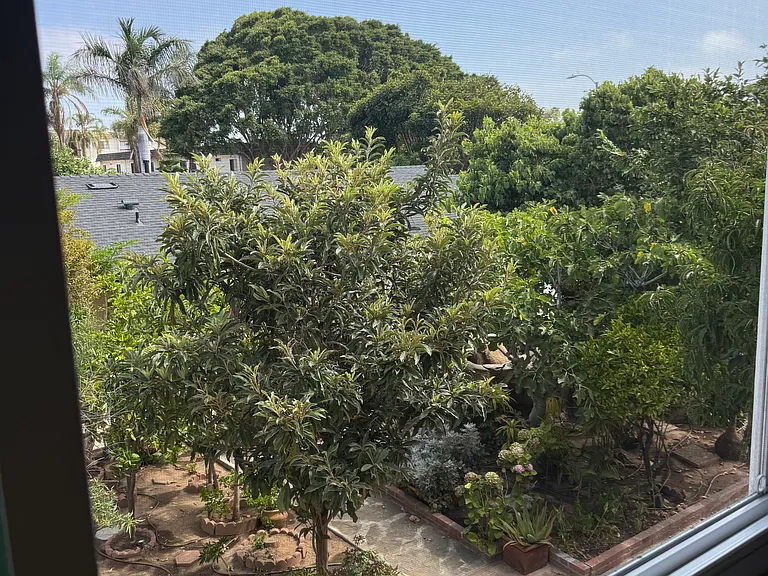 1353 Imperial Beach Blvd — Photo 18